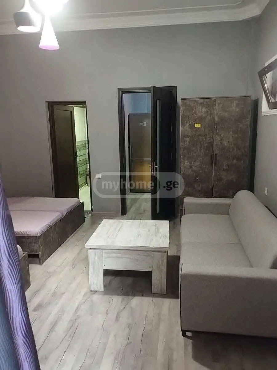 Daily Rent 10+ Room Sastumro Kobuletshi view 15