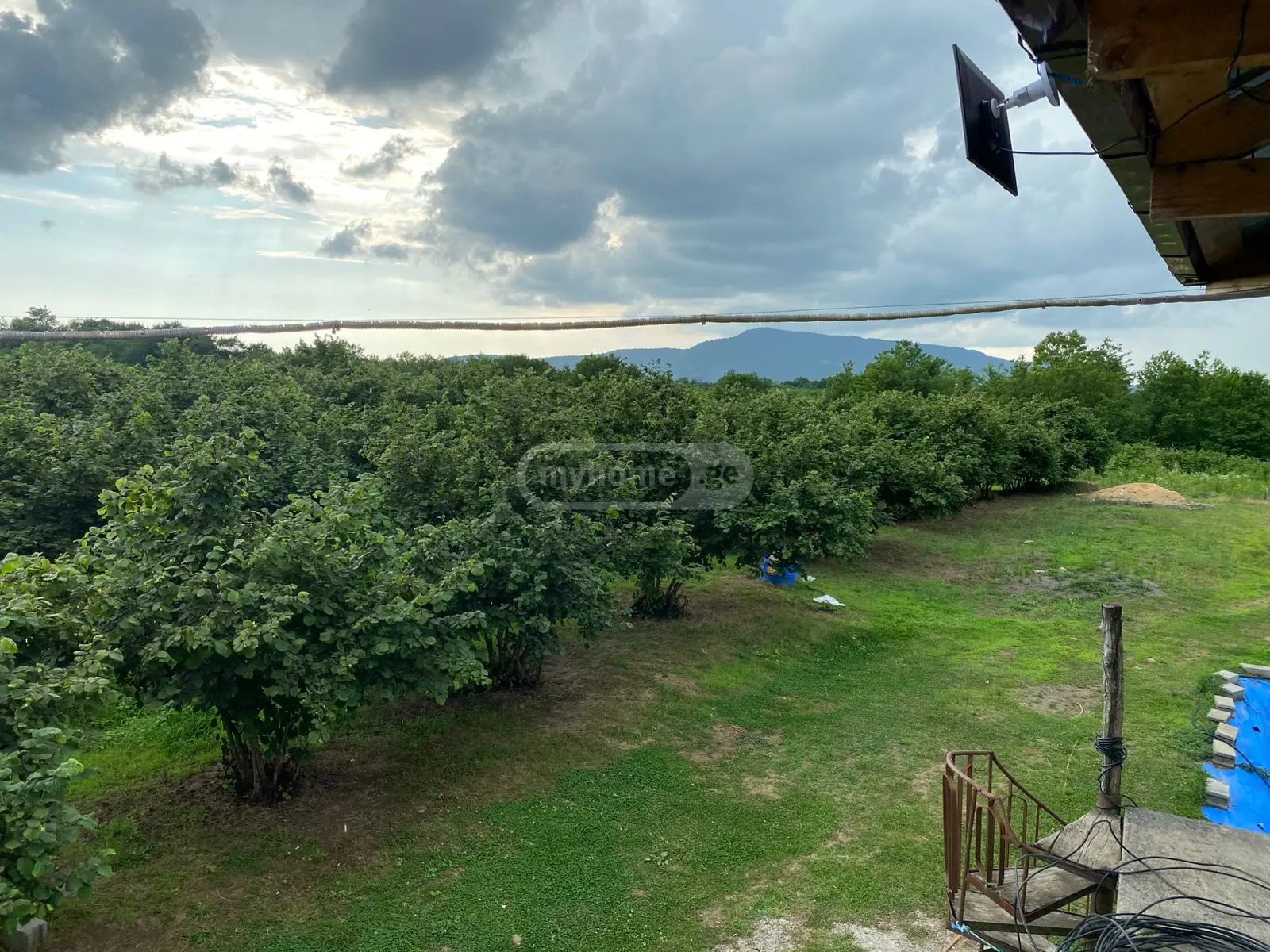 For Sale Sasoplo-Sameurneo Land Plot Zugdidshi view 1