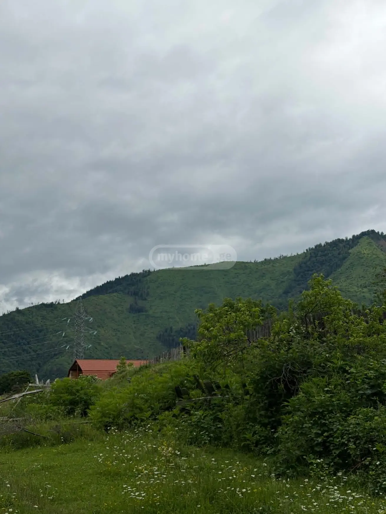For Sale 10+ Room Sastumro Borjomis Munitsipalitetshi view 5