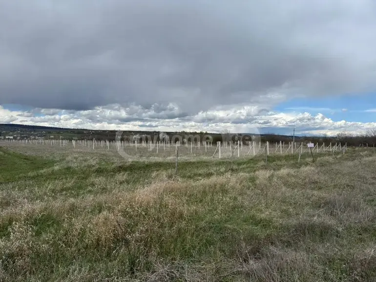 For Sale Sasoplo-Sameurneo Land Plot Khashurshi view 13