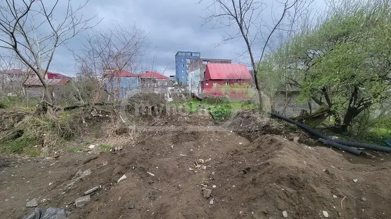 For Sale Sasoplo-Sameurneo Land Plot In Batumi view 13