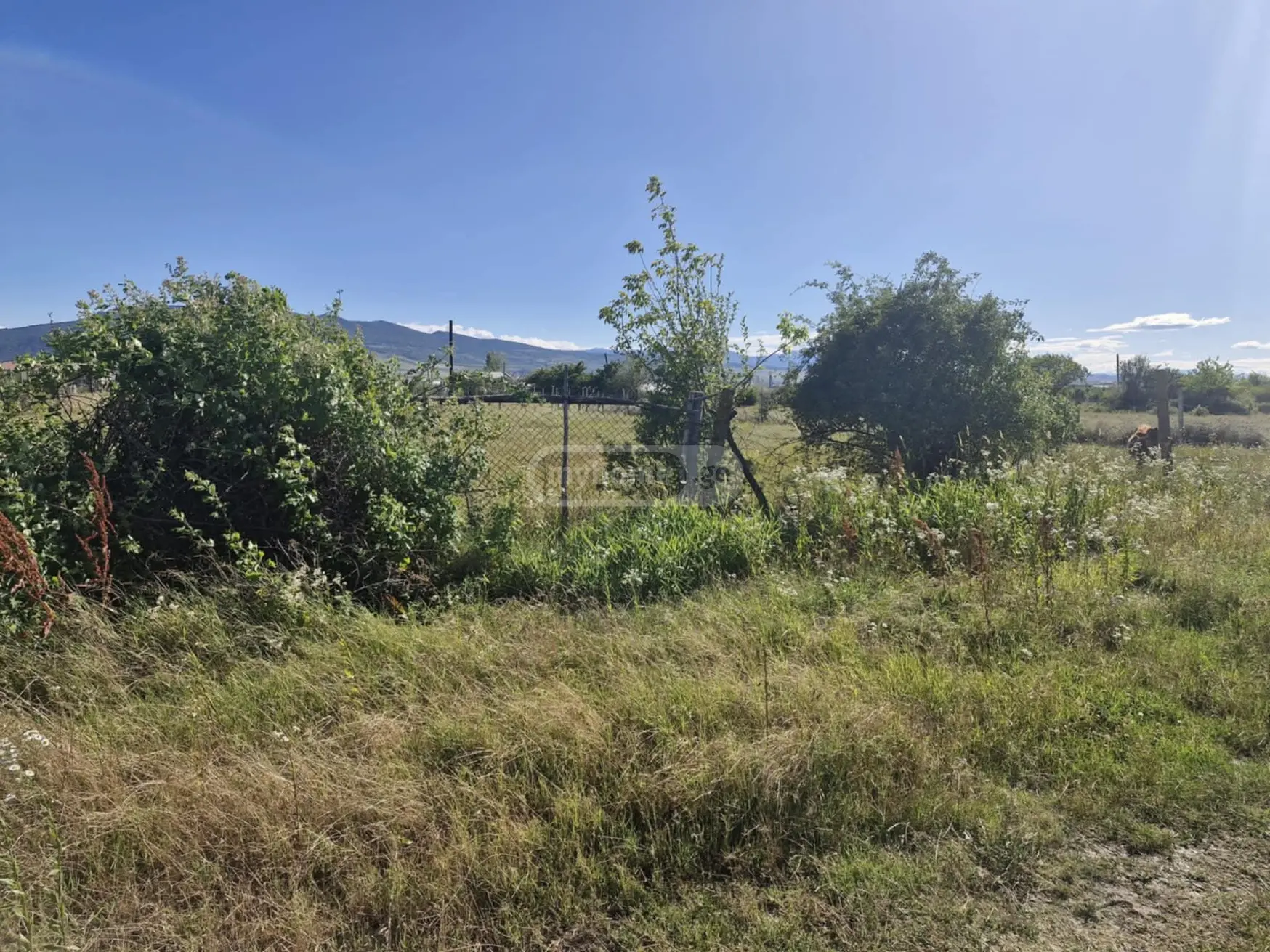 For Sale Sasoplo-Sameurneo Land Plot Mtskhetis Munitsipalitetshi view 2
