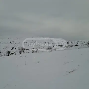 იყიდება მიწა / ნაკვეთი Kaspis Munitsipalitetshiში view 3