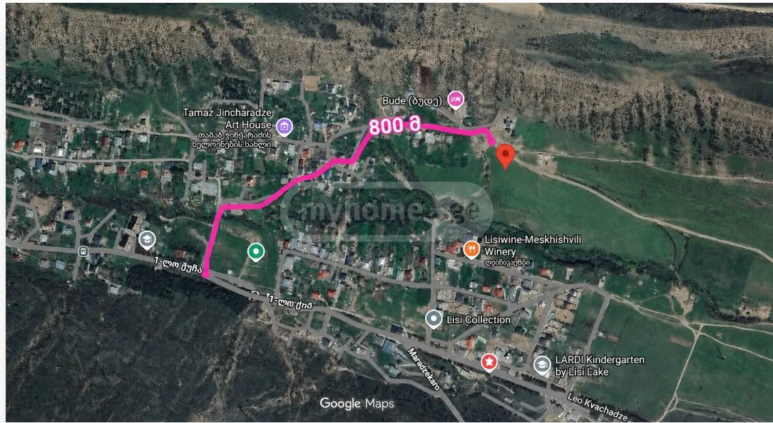 Land For Rent. Lisi Lake view 31