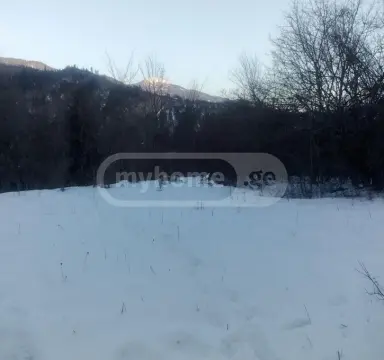 იყიდება მიწა / ნაკვეთი Borjomis Munitsipalitetshiში view 3
