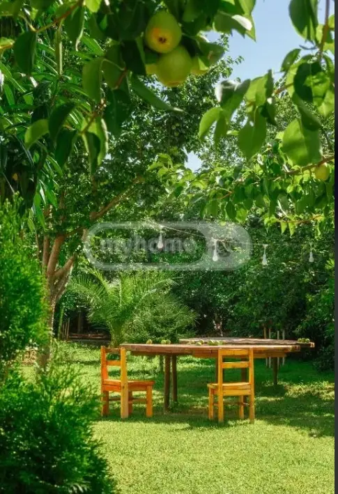 Daily Rent 3 Room Country House view 9