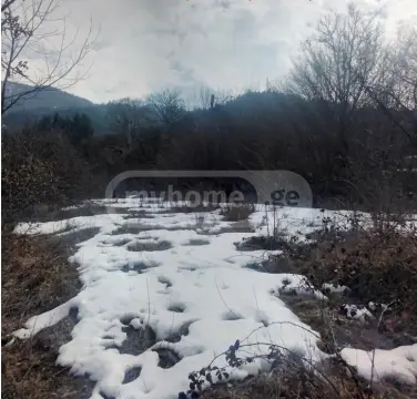 იყიდება მიწა / ნაკვეთი Borjomis Munitsipalitetshiში view 6