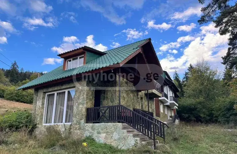 For Sale 3 Room Country House Borjomshi view 6