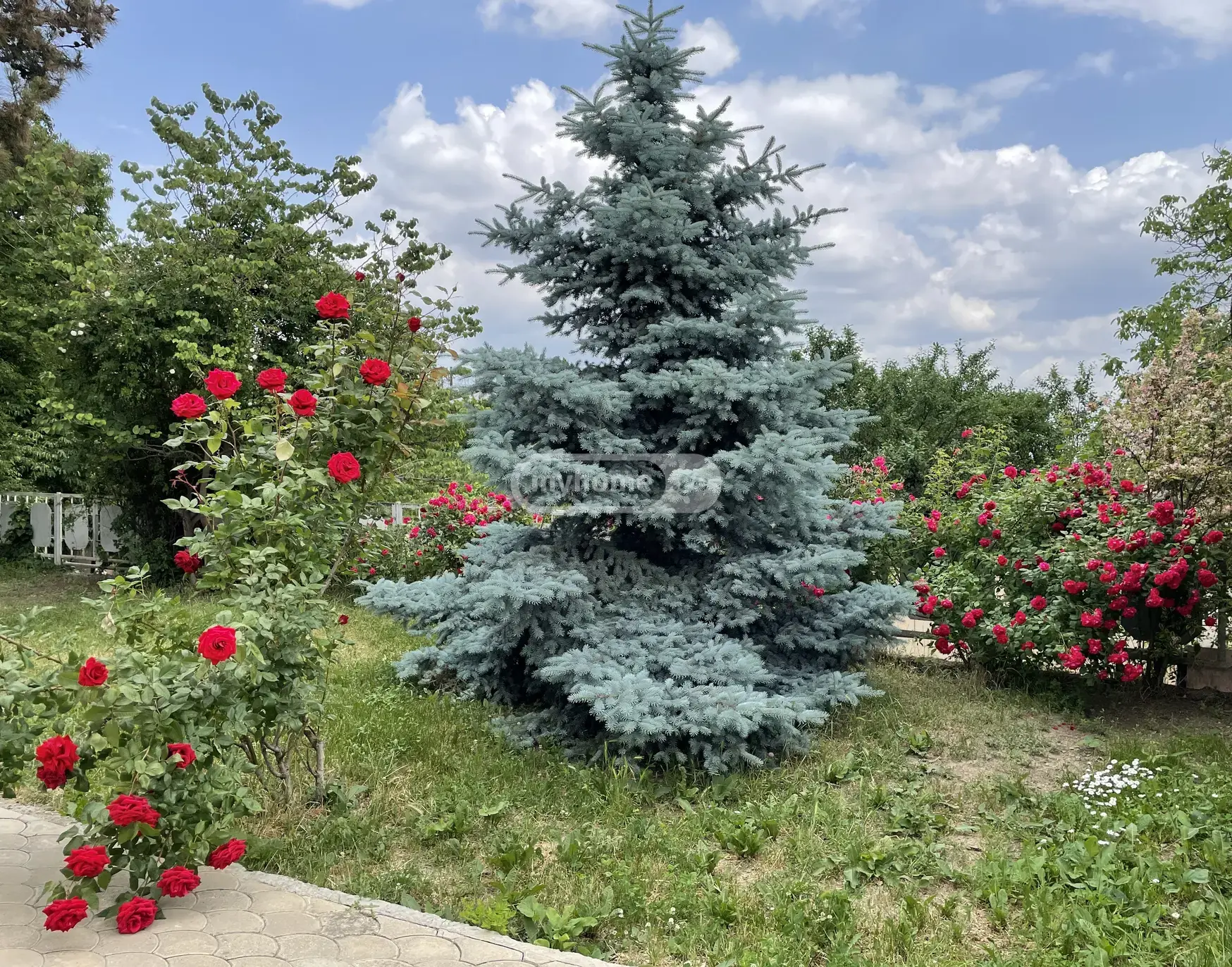 For Sale 3 Room Country House Tsqnetshi view 1