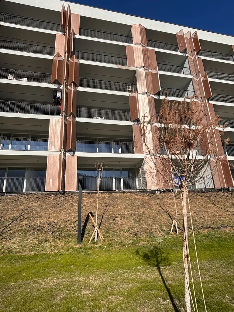 building