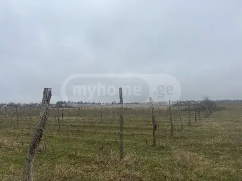 იყიდება მიწა / ნაკვეთი Telavis Munitsipalitetshiში view 4