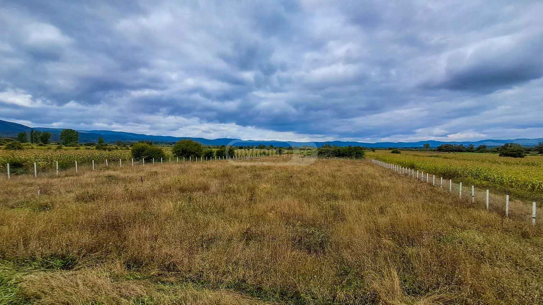 For Sale Sasoplo-Sameurneo Land Plot Tianetis Munitsipalitetshi view 2