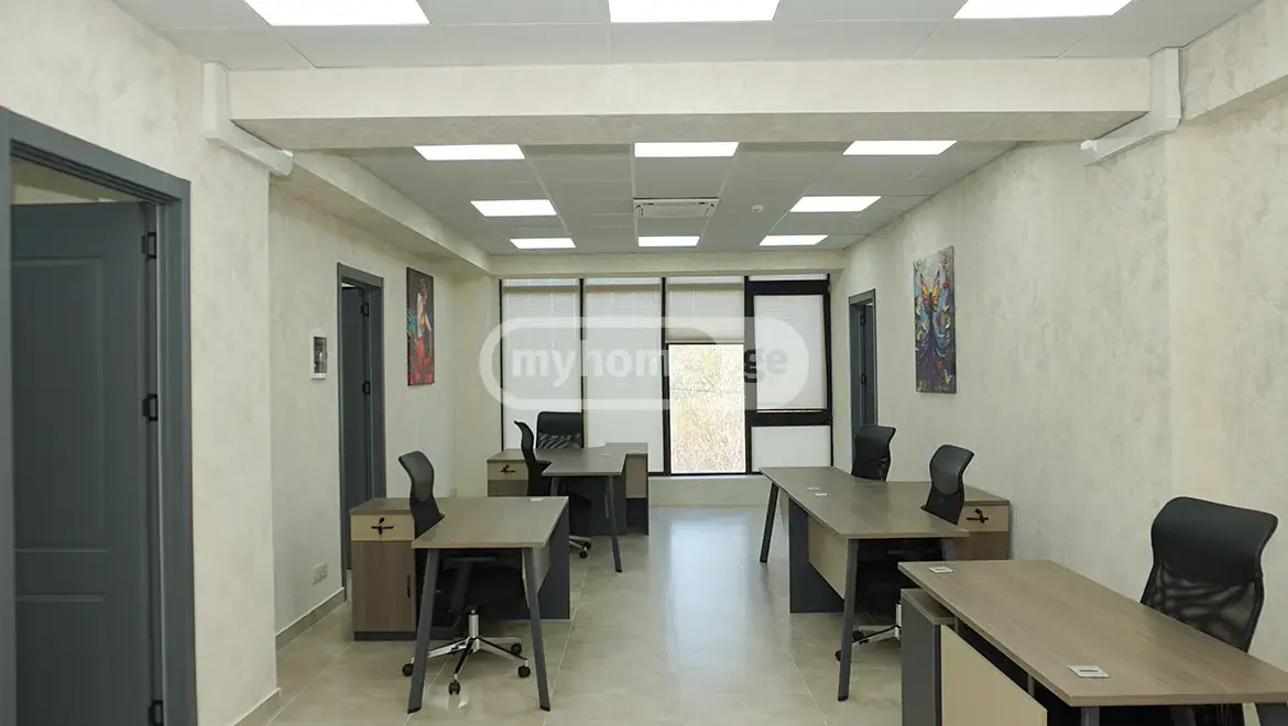 For Sale Universaluri Commercial Space Tsqnetshi view 1