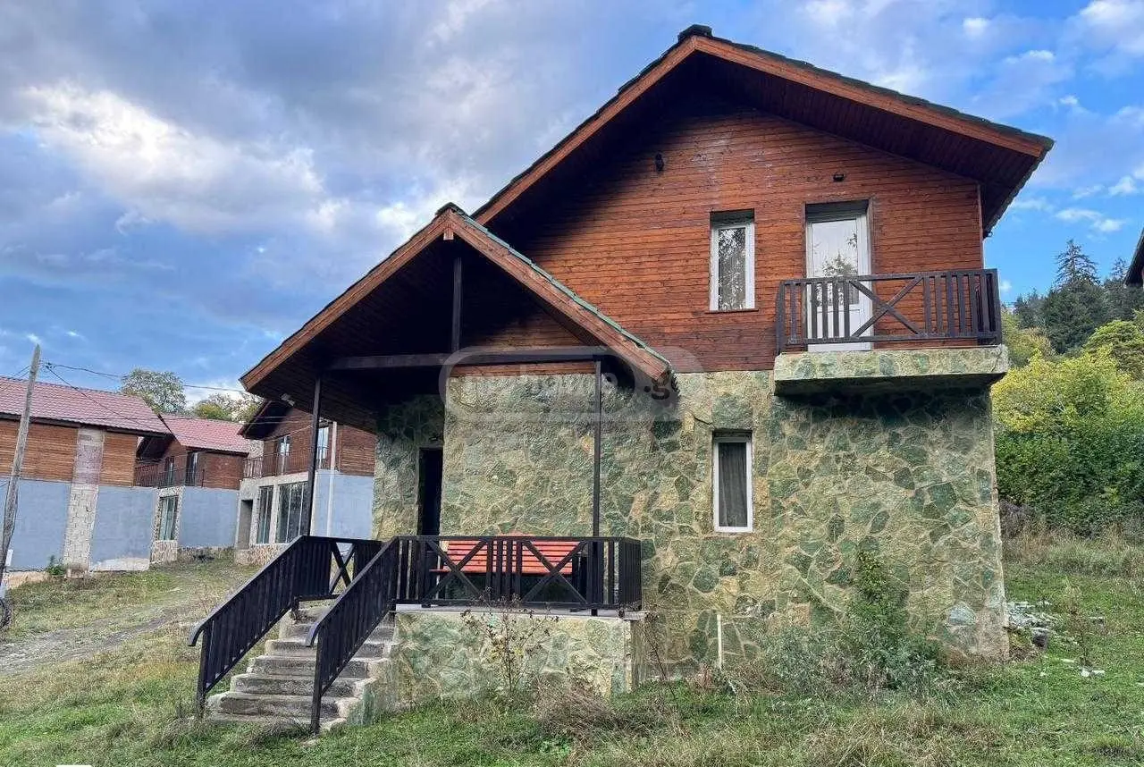 For Sale 3 Room Country House Borjomshi view 16