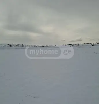იყიდება მიწა / ნაკვეთი Kaspis Munitsipalitetshiში view 2