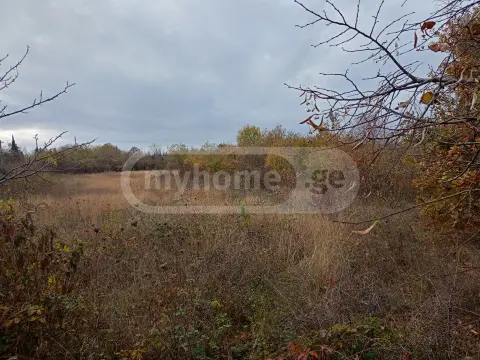 იყიდება მიწა / ნაკვეთი Gurjaanshiში view 2