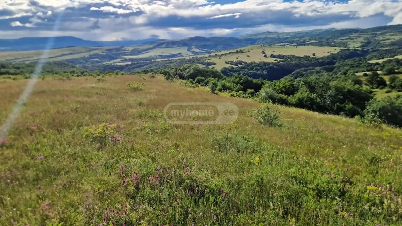 Продажа Земля / участок в Tetritsqaros Raionshi view 4