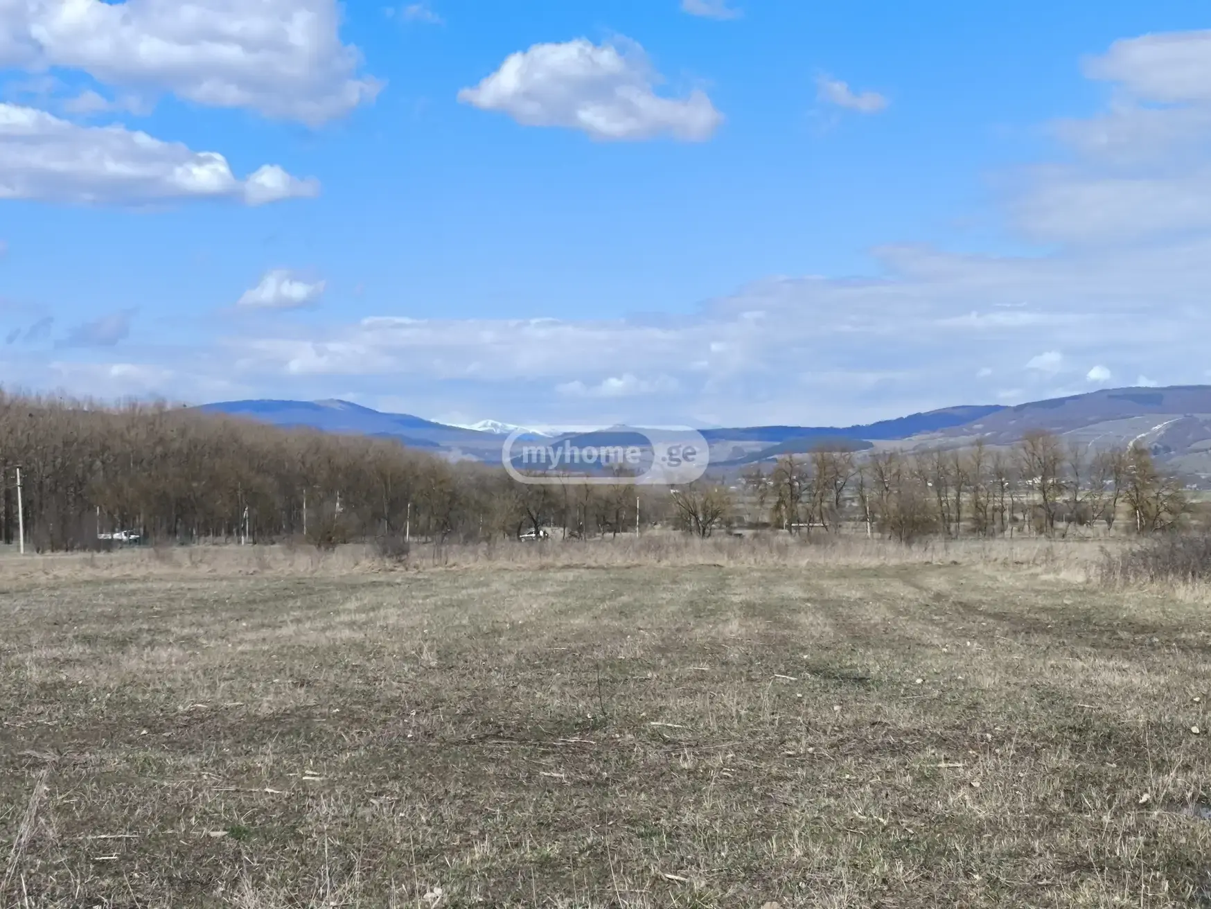 For Sale Ara Sasoplo-Sameurneo Land Plot Tianetis Munitsipalitetshi view 3