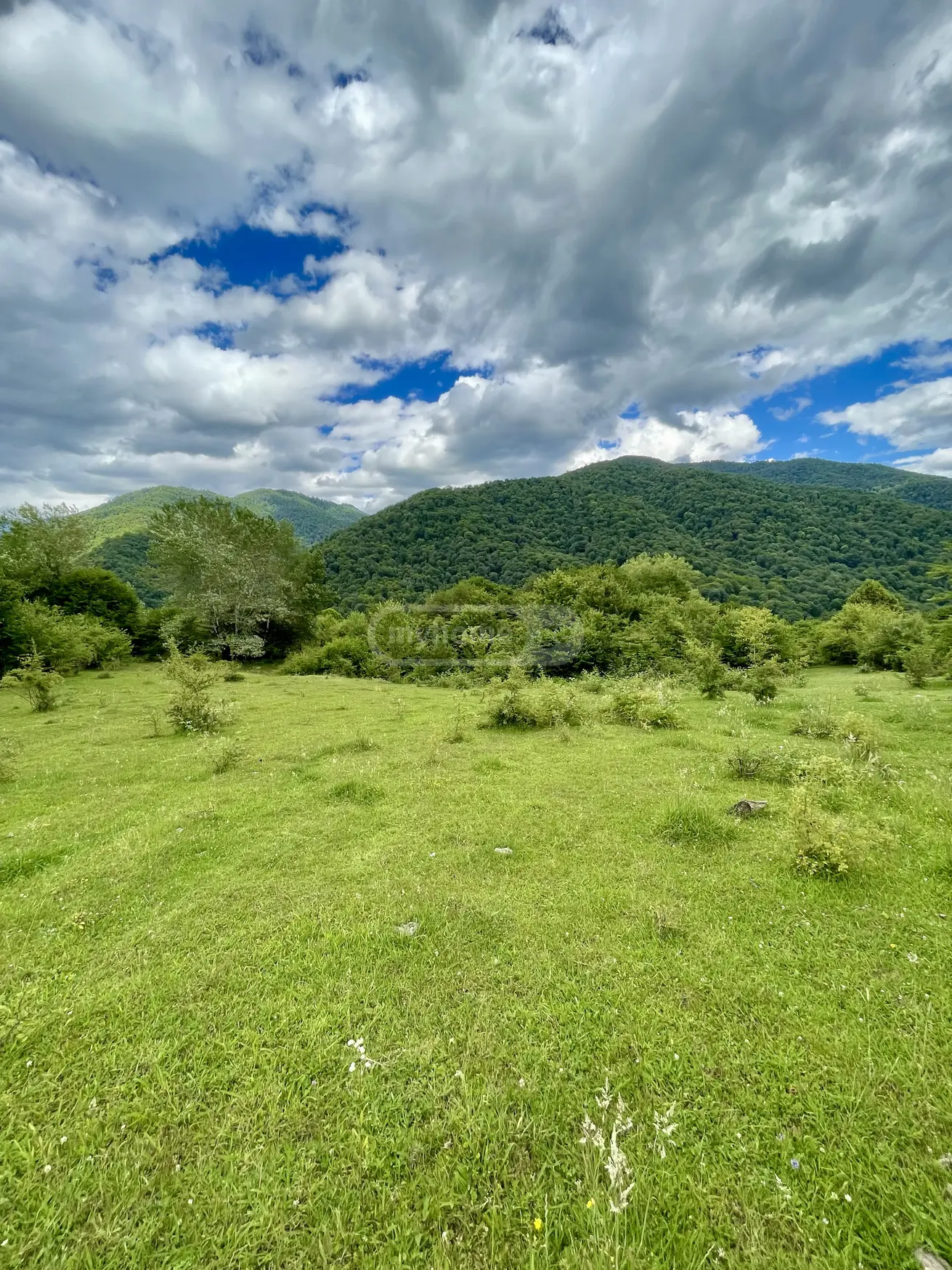 იყიდება მიწა / ნაკვეთი Telavis Munitsipalitetshiში view 2