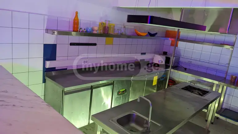For Rent Kvebis Obiekti Commercial Space Tsqnetshi view 6