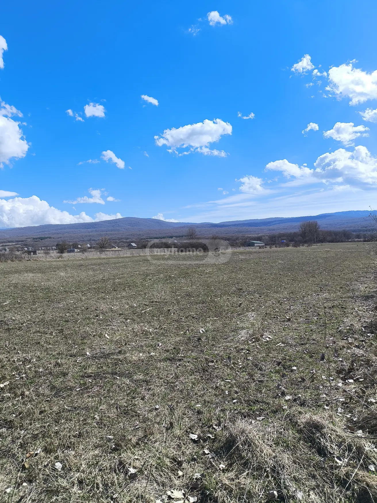 For Sale Ara Sasoplo-Sameurneo Land Plot Tianetis Munitsipalitetshi view 11