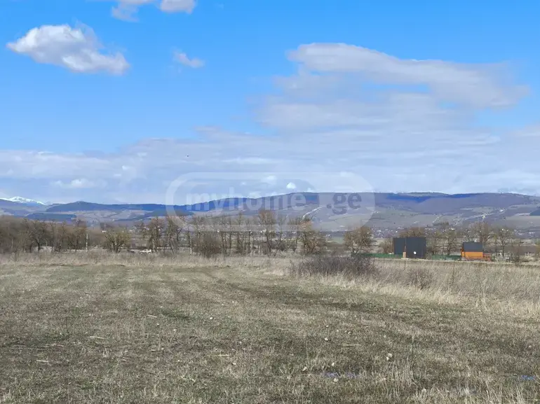 For Sale Ara Sasoplo-Sameurneo Land Plot Tianetis Munitsipalitetshi view 5