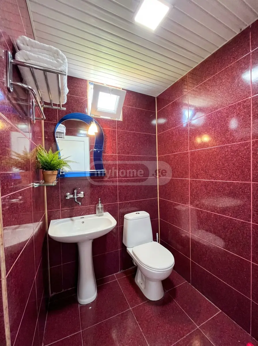 For Sale 10+ Room Sastumro Ozurgetis Munitsipalitetshi view 15