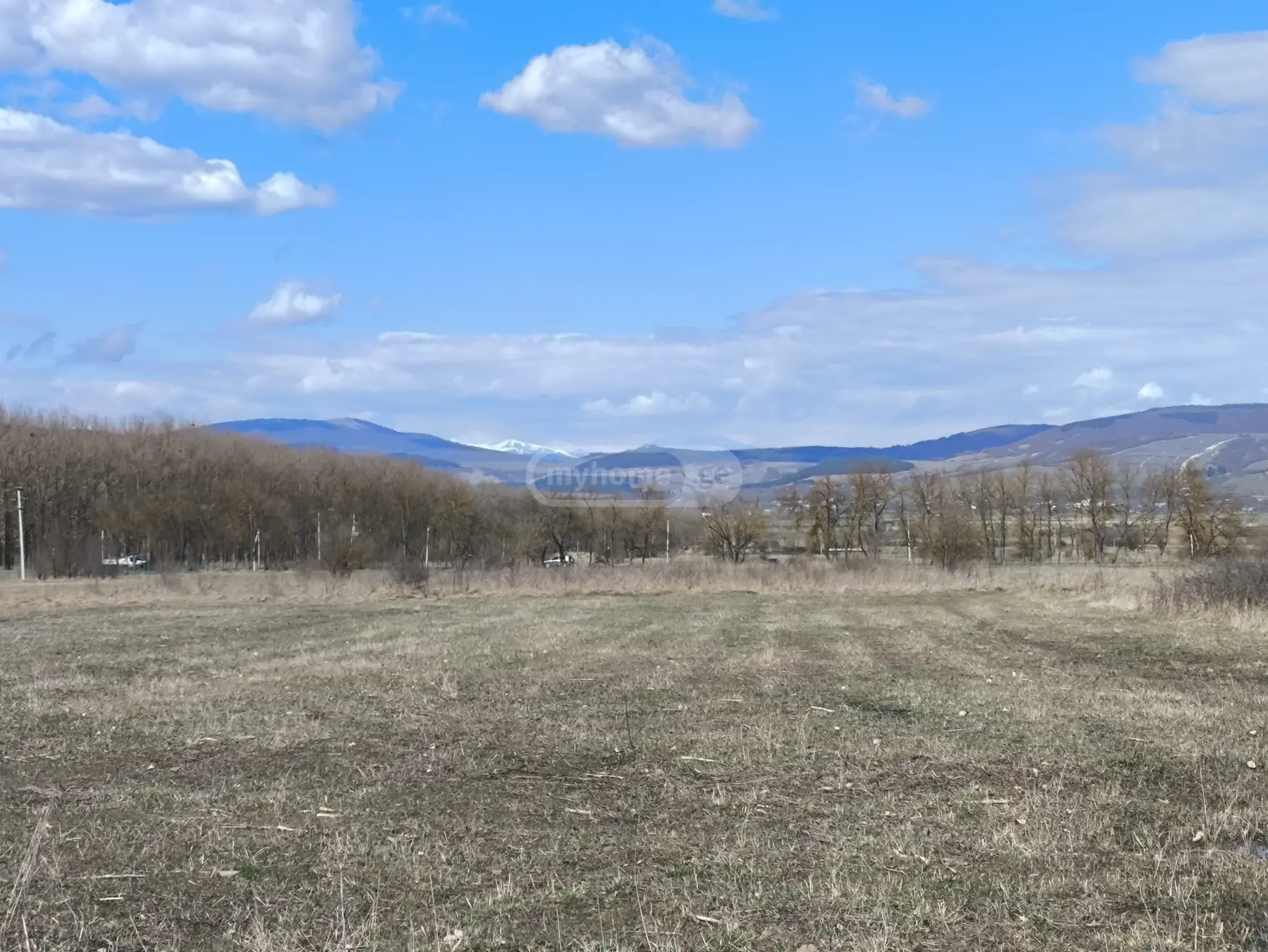 For Sale Ara Sasoplo-Sameurneo Land Plot Tianetis Munitsipalitetshi view 4
