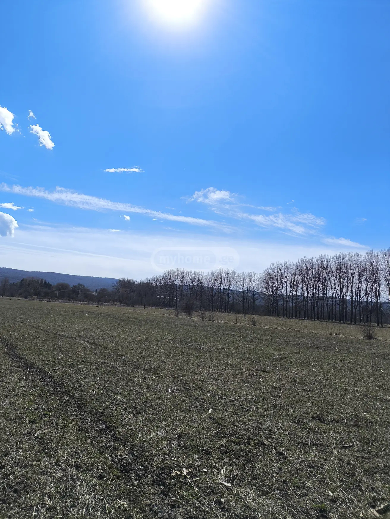 For Sale Ara Sasoplo-Sameurneo Land Plot Tianetis Munitsipalitetshi view 9