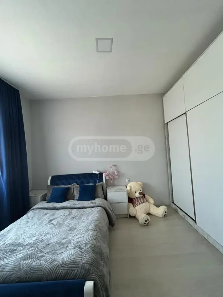 For Sale 10+ Room Sastumro Nadzaladevshi, 5 of 10