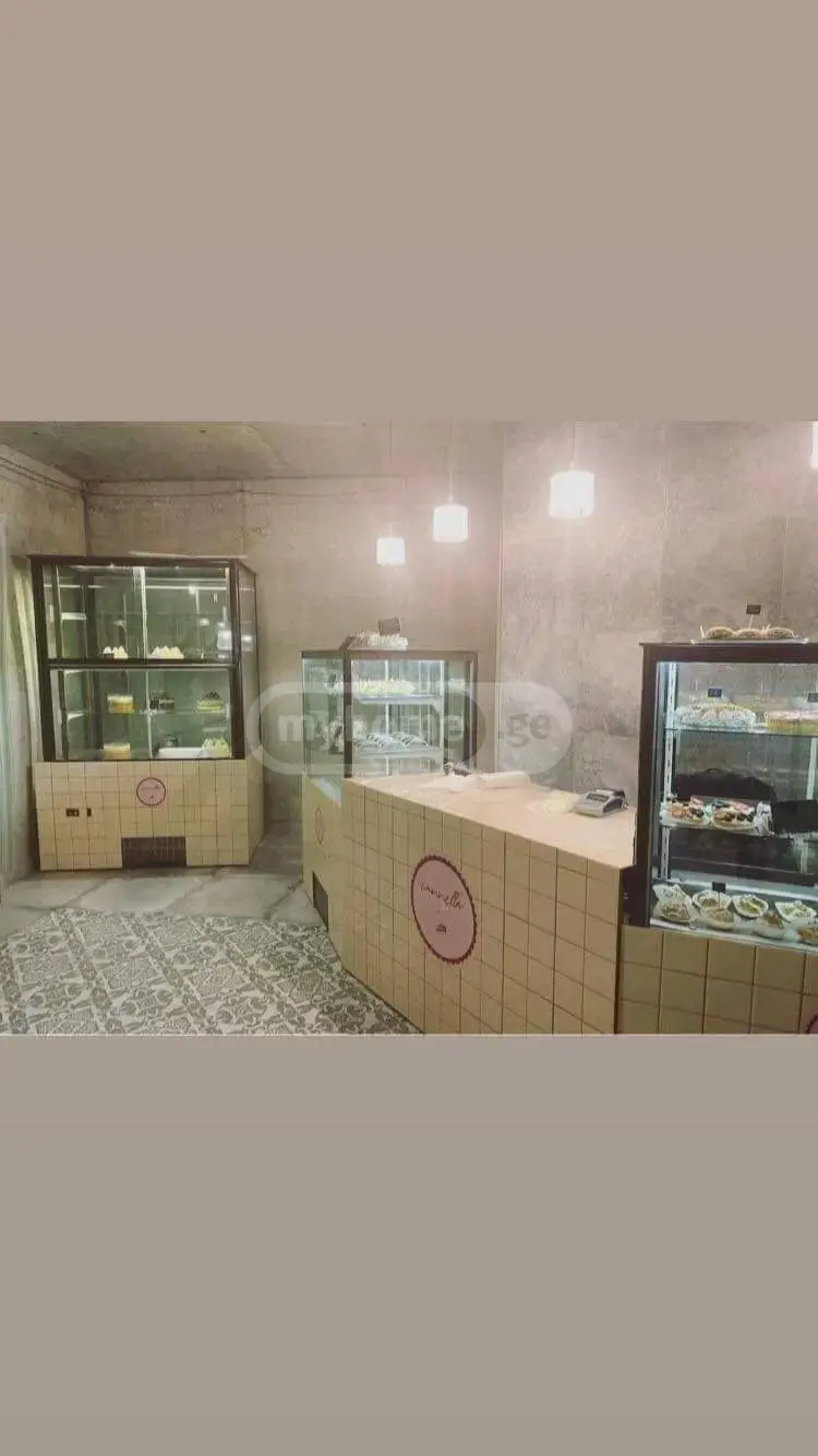 For Sale Universaluri Commercial Space Shindisshi view 15