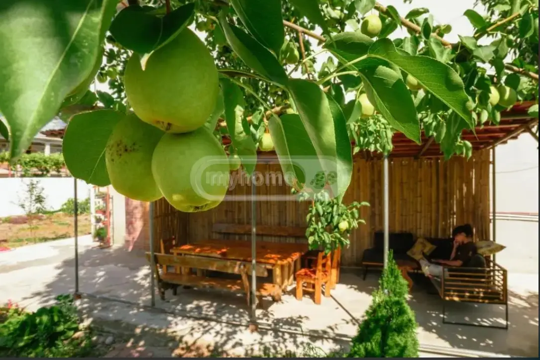 Daily Rent 3 Room Country House view 4