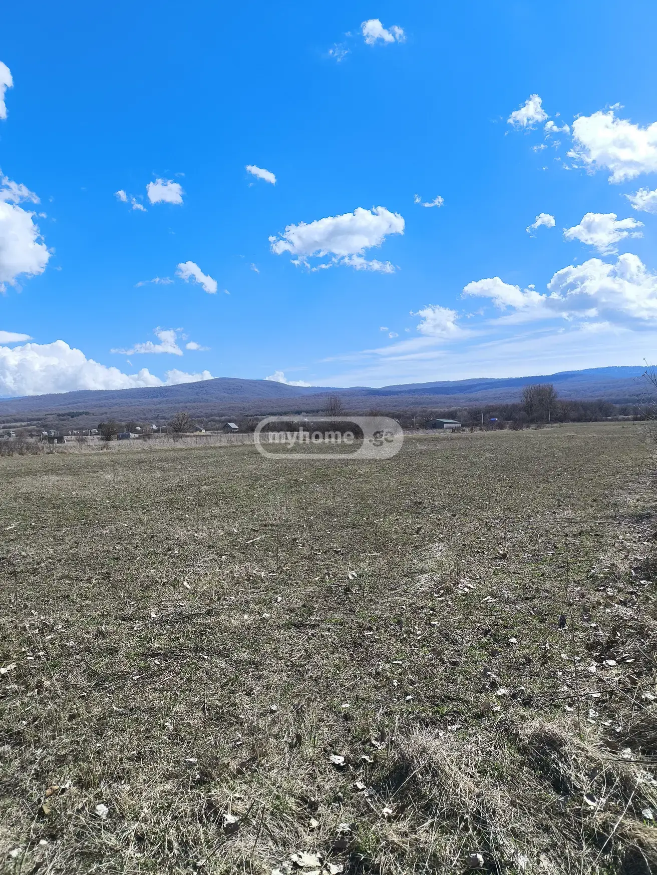 For Sale Ara Sasoplo-Sameurneo Land Plot Tianetis Munitsipalitetshi view 12