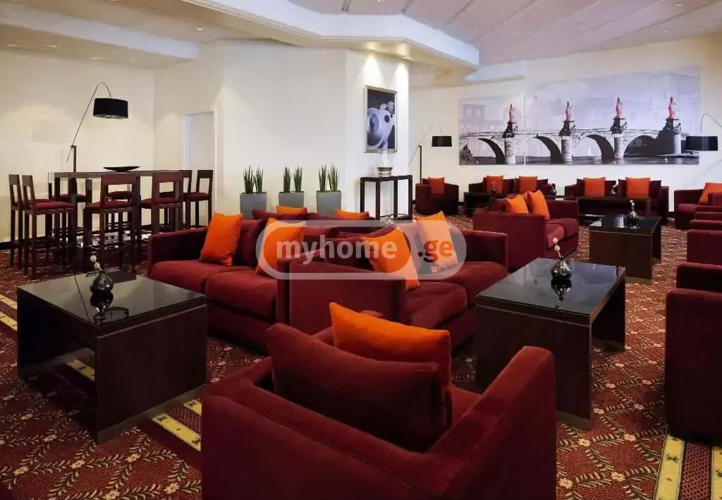For Rent 10+ Room Sastumro Nadzaladevshi view 9