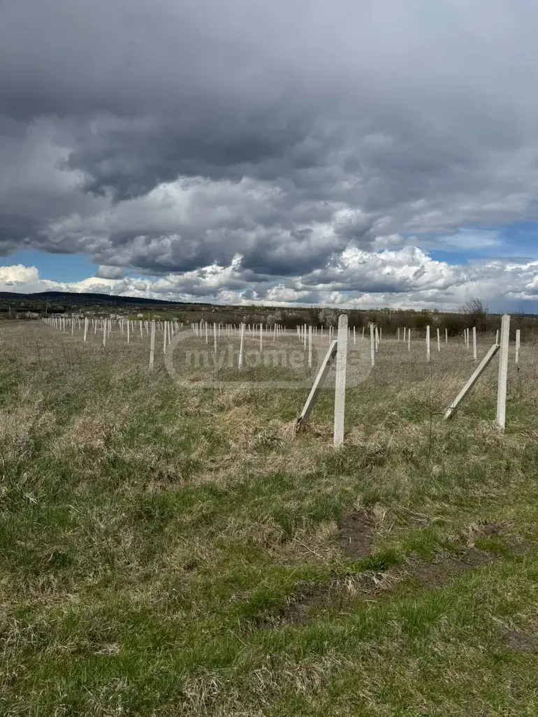 For Sale Sasoplo-Sameurneo Land Plot Khashurshi view 11