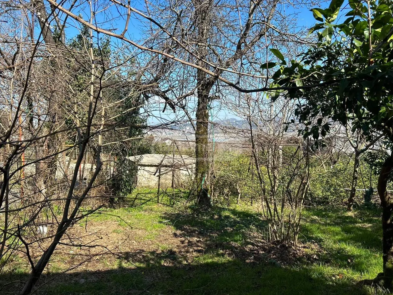For Sale Ara Sasoplo-Sameurneo Land Plot In Batumi view 5