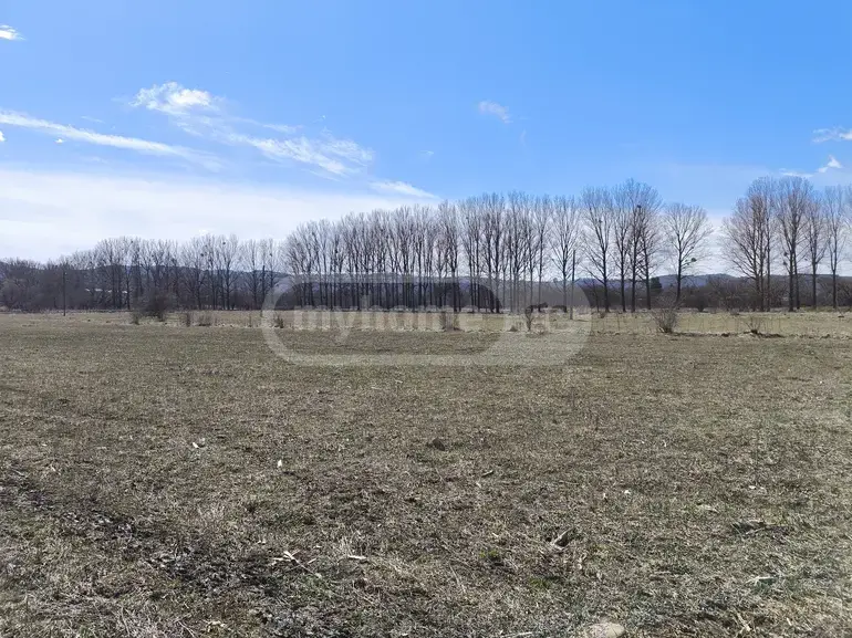 For Sale Ara Sasoplo-Sameurneo Land Plot Tianetis Munitsipalitetshi view 8