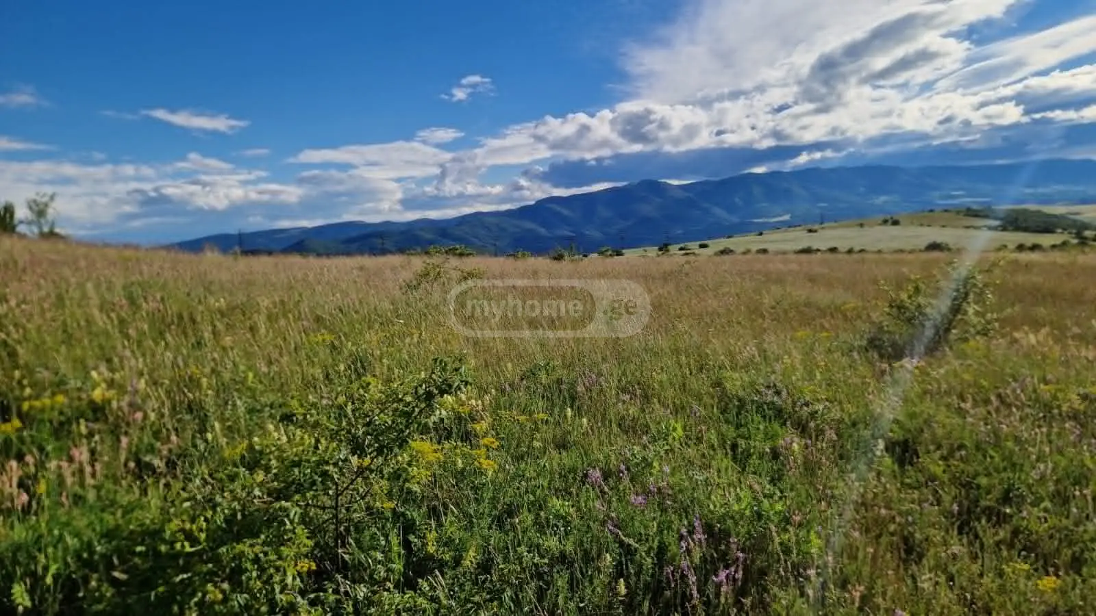 Продажа Земля / участок в Tetritsqaros Raionshi view 3