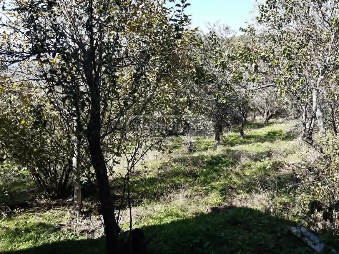 For Sale 5 Room Country House Gardabanshi view 3