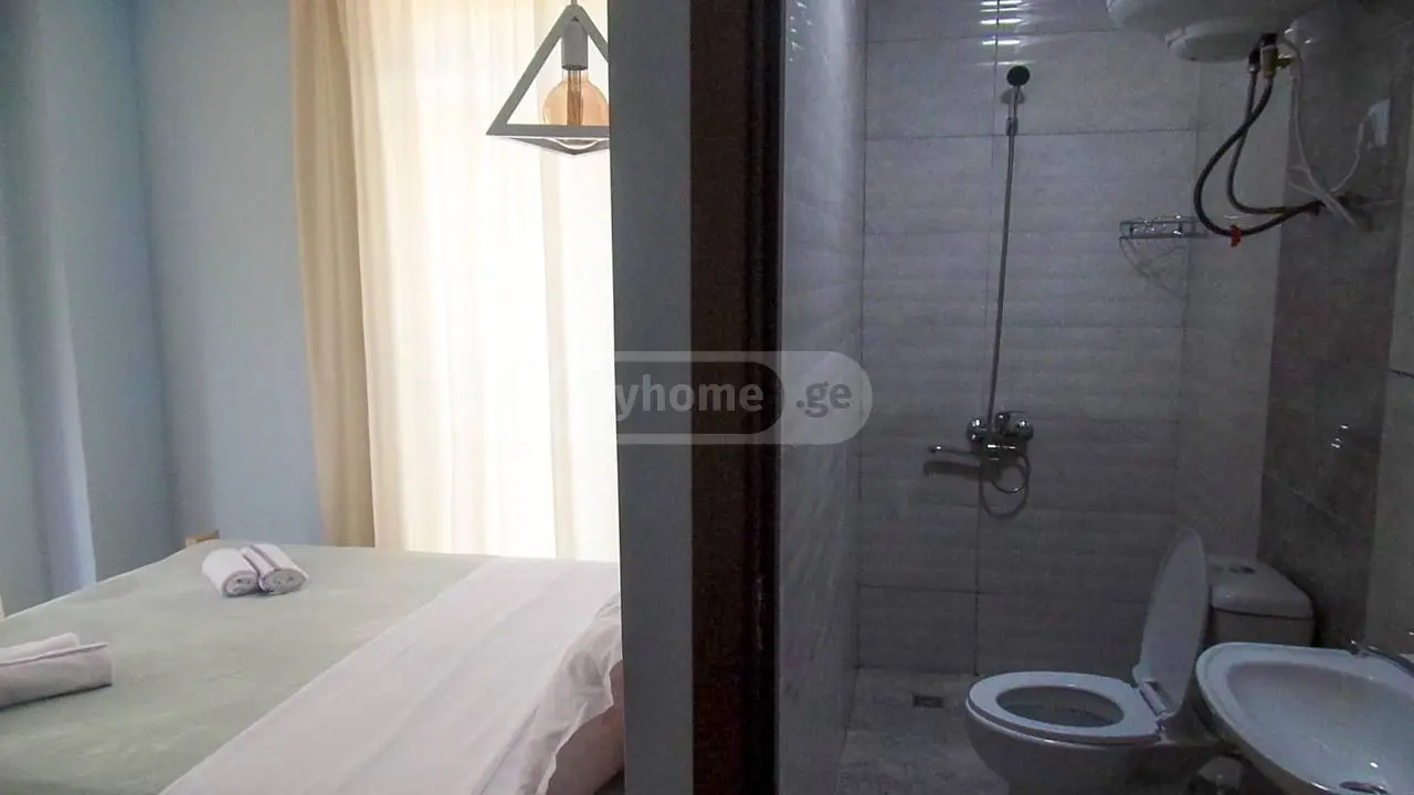 For Rent 8 Room Country House Ozurgetis Munitsipalitetshi view 6
