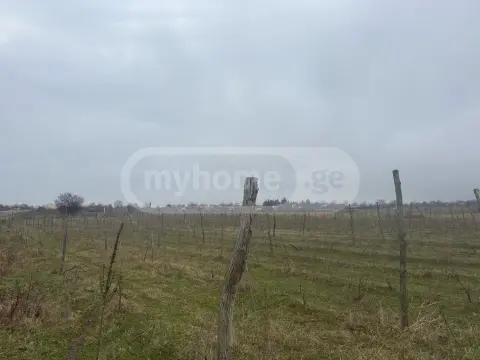 იყიდება მიწა / ნაკვეთი Telavis Munitsipalitetshiში view 1