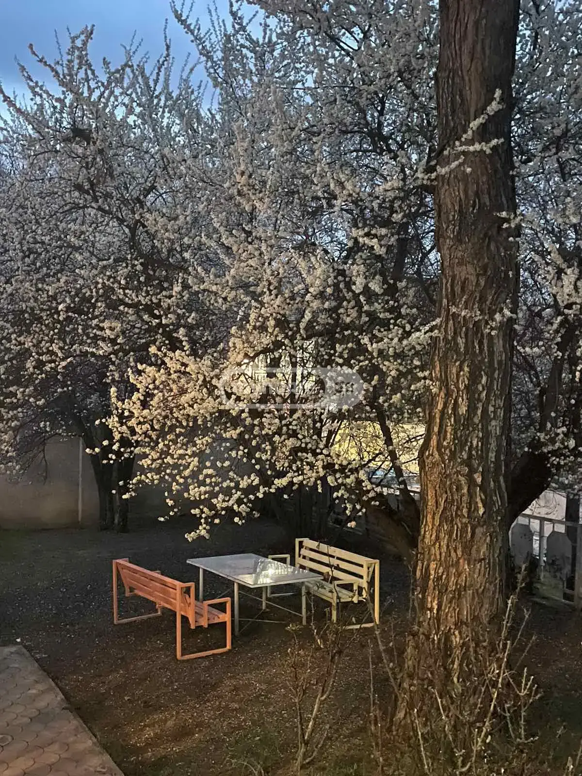 For Sale 3 Room Country House Tsqnetshi view 4