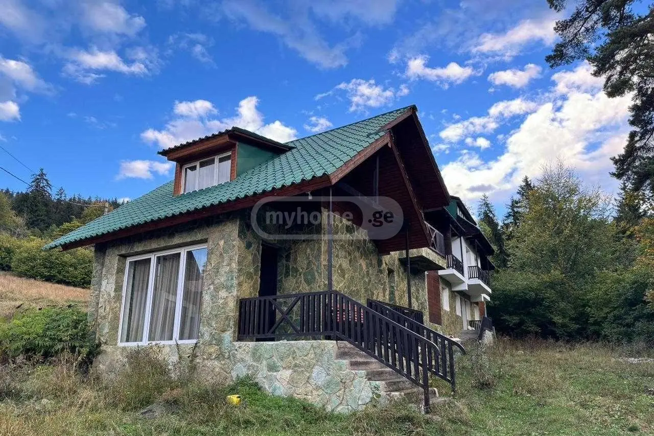 For Sale 3 Room Country House Borjomshi view 6