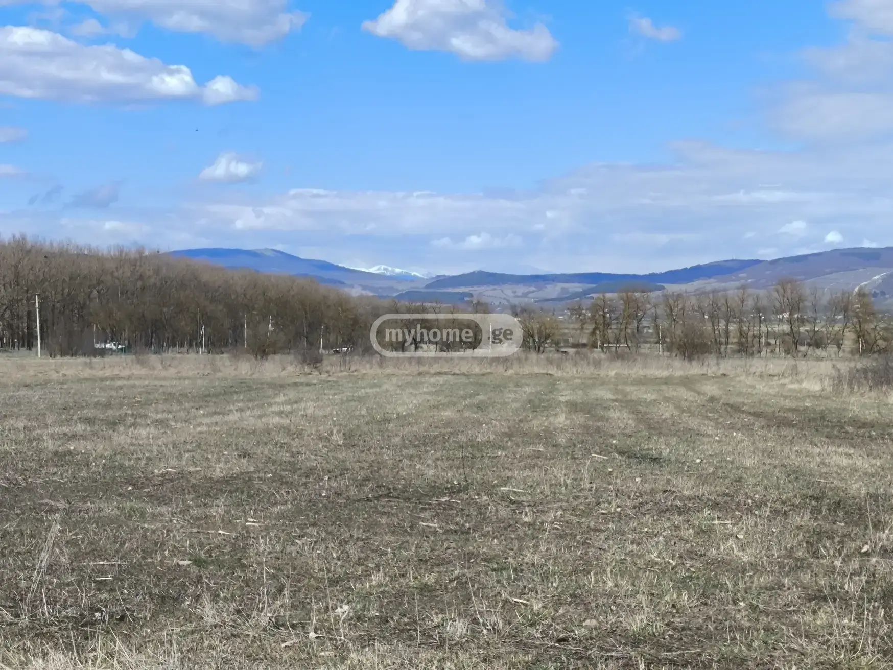 For Sale Ara Sasoplo-Sameurneo Land Plot Tianetis Munitsipalitetshi view 1