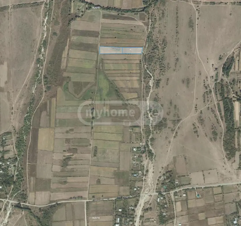For Sale Sasoplo-Sameurneo Land Plot Tianetis Munitsipalitetshi view 7