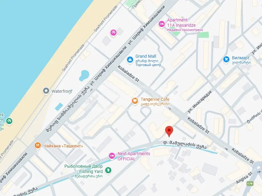 For Sale Ara Sasoplo-Sameurneo Land Plot In Batumi view 2