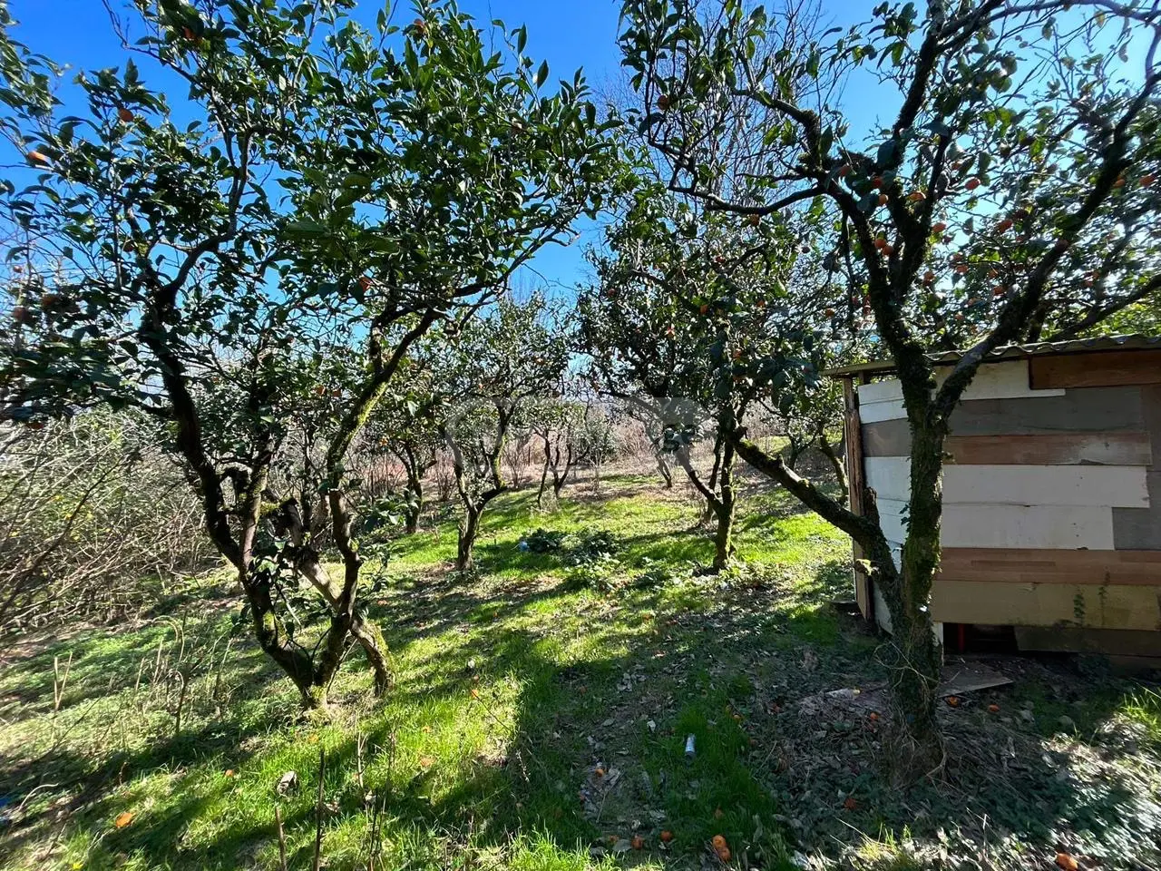 For Sale Ara Sasoplo-Sameurneo Land Plot In Batumi view 11