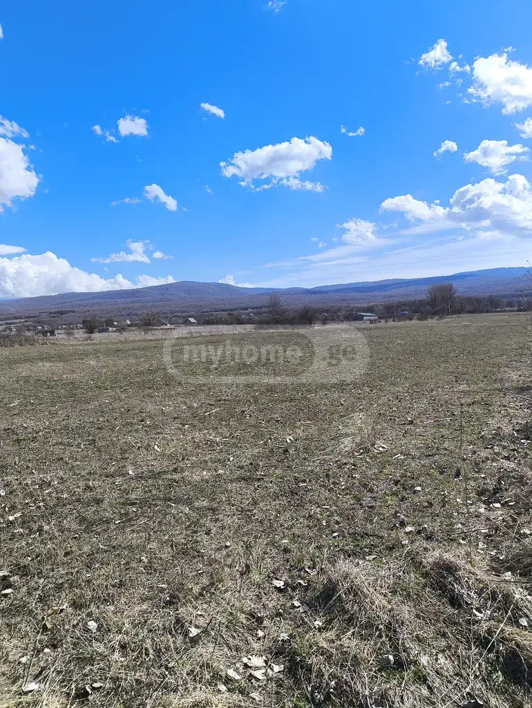 For Sale Ara Sasoplo-Sameurneo Land Plot Tianetis Munitsipalitetshi view 15