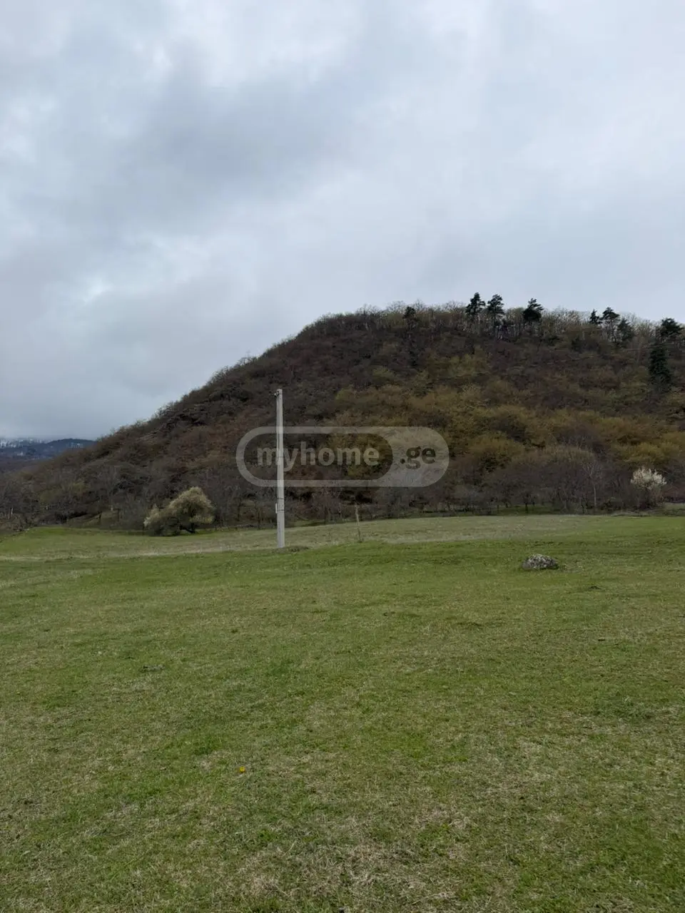 იყიდება მიწა / ნაკვეთი Kaspis Munitsipalitetshiში view 2