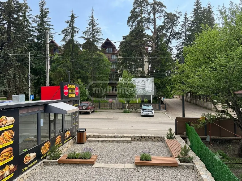 For Sale Universaluri Commercial Space Bakurianshi, 2 of 5